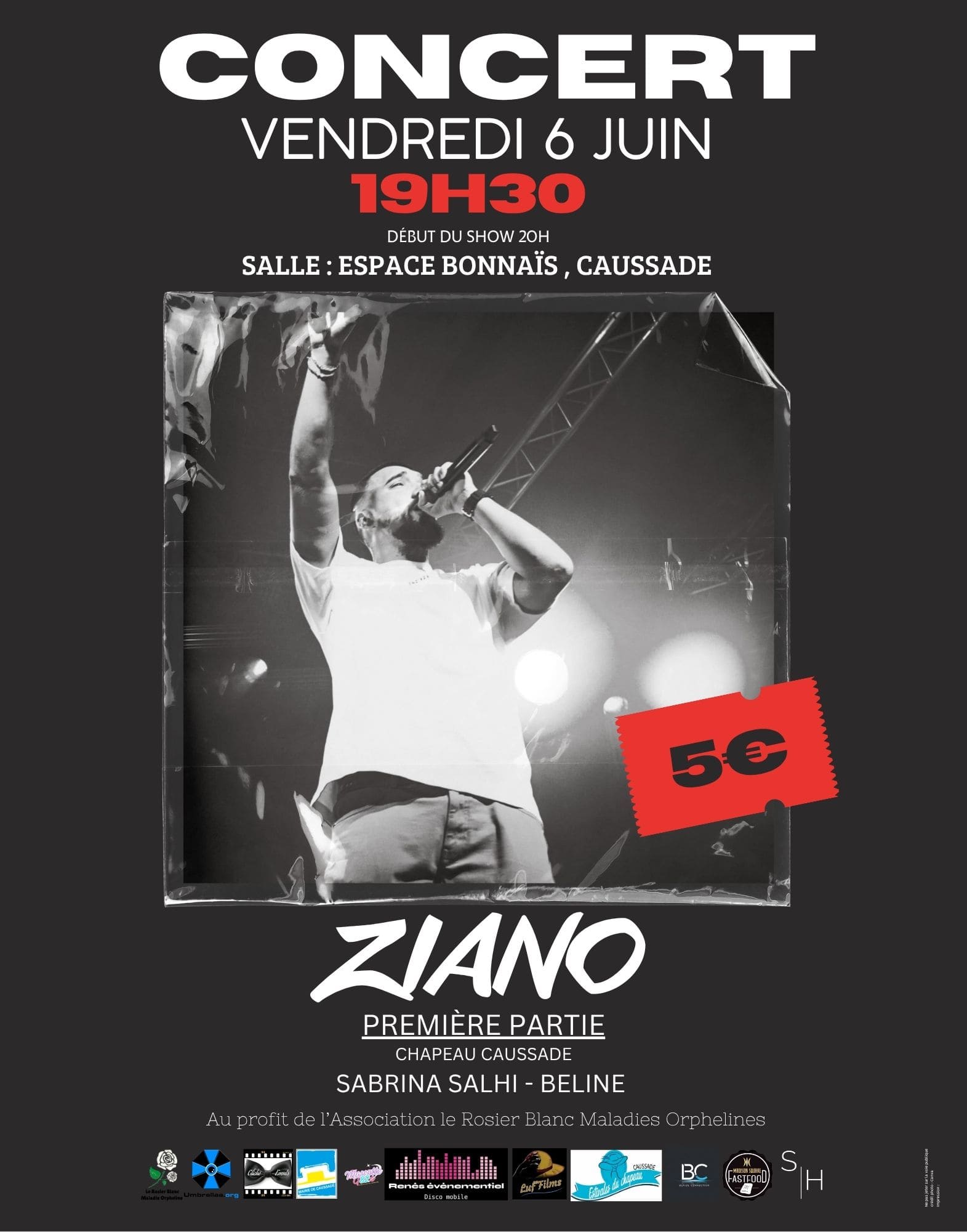 idée affiche concert du z-min